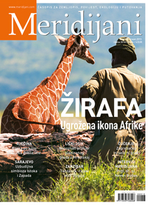 Cover 177