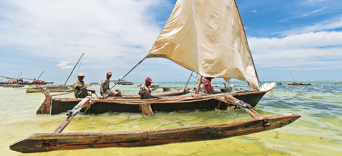 Large zanzibar