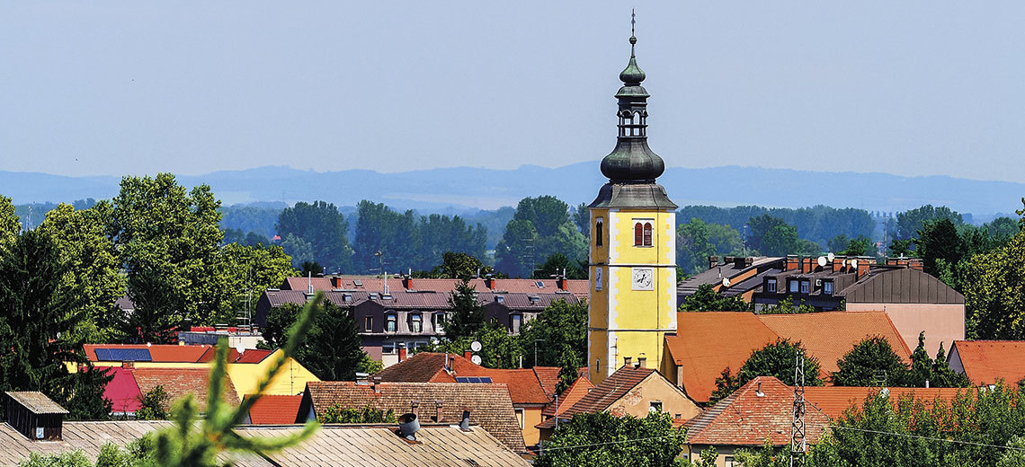 Large ludbreg
