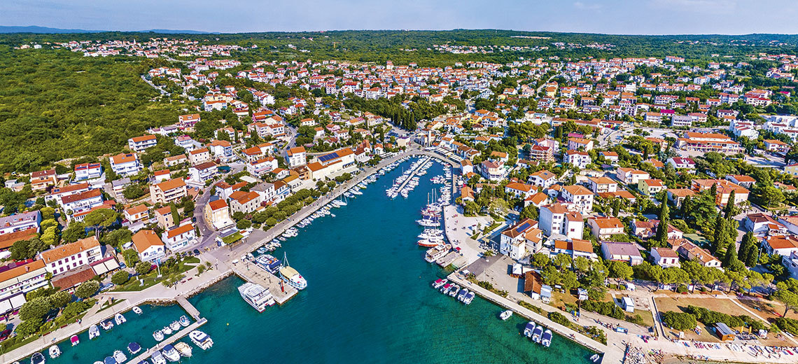 Large malinska