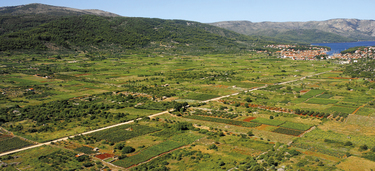 Medium small starogradsko polje hvar