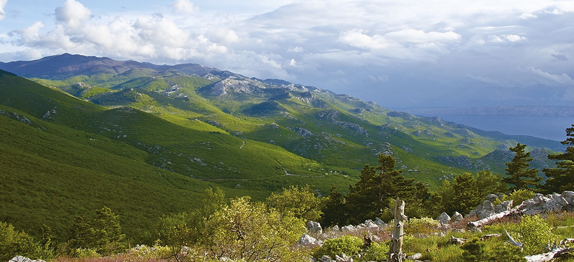 Large velebit