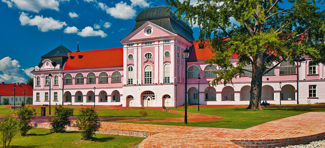 Large dvorac pejac evic
