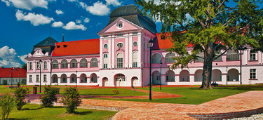 Medium small dvorac pejac evic