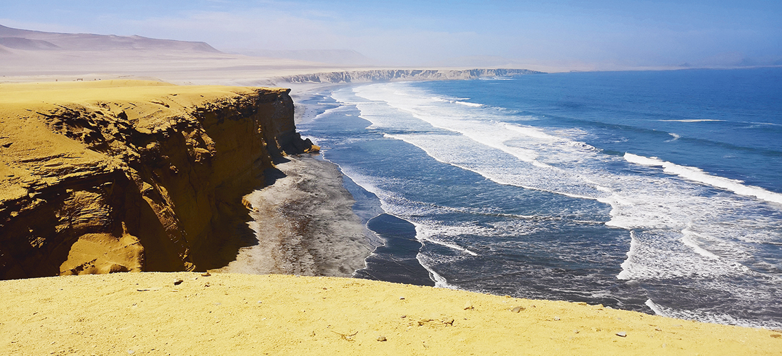 Large paracas