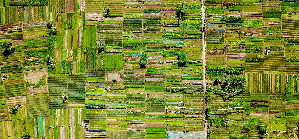 Poljoprivreda i dostupnost hrane u svijetu