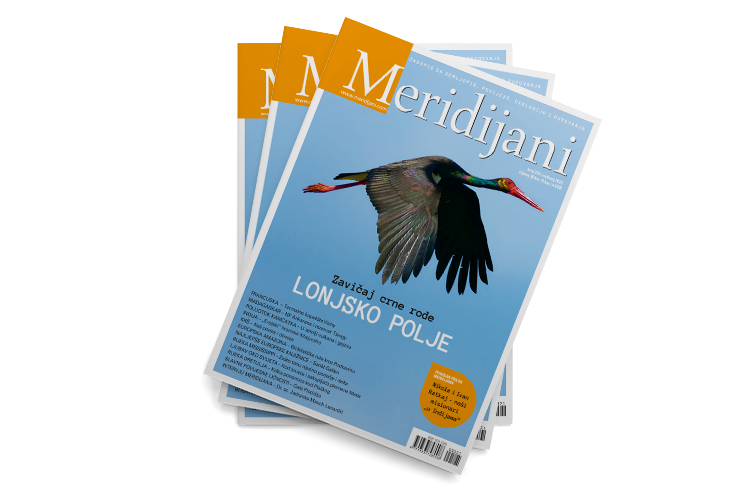 News meridijani 216