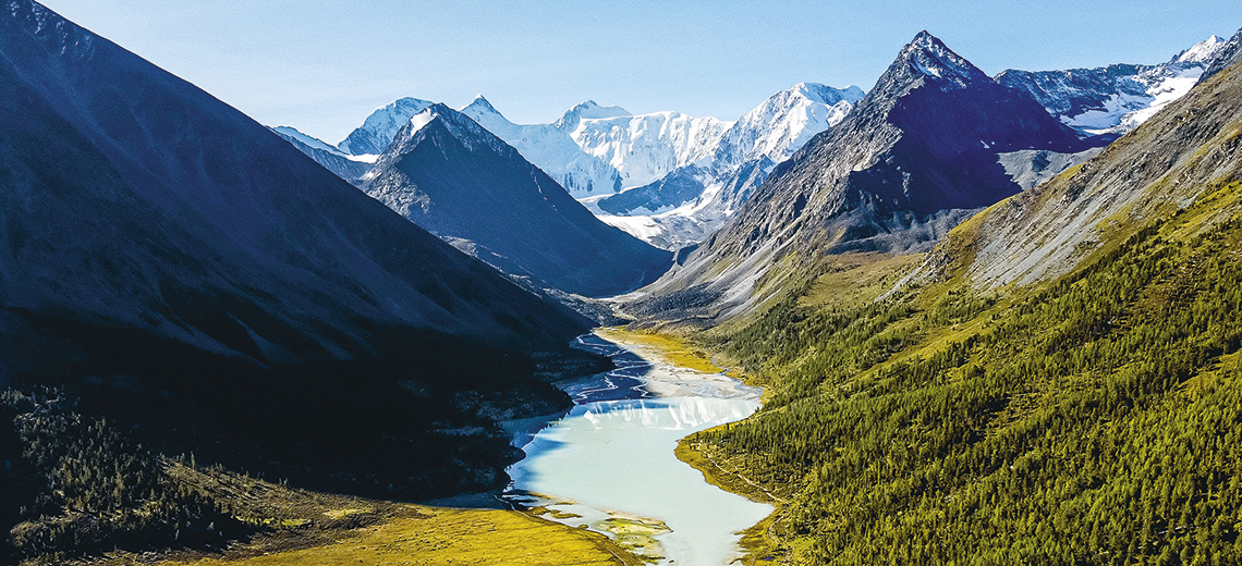 Large altai