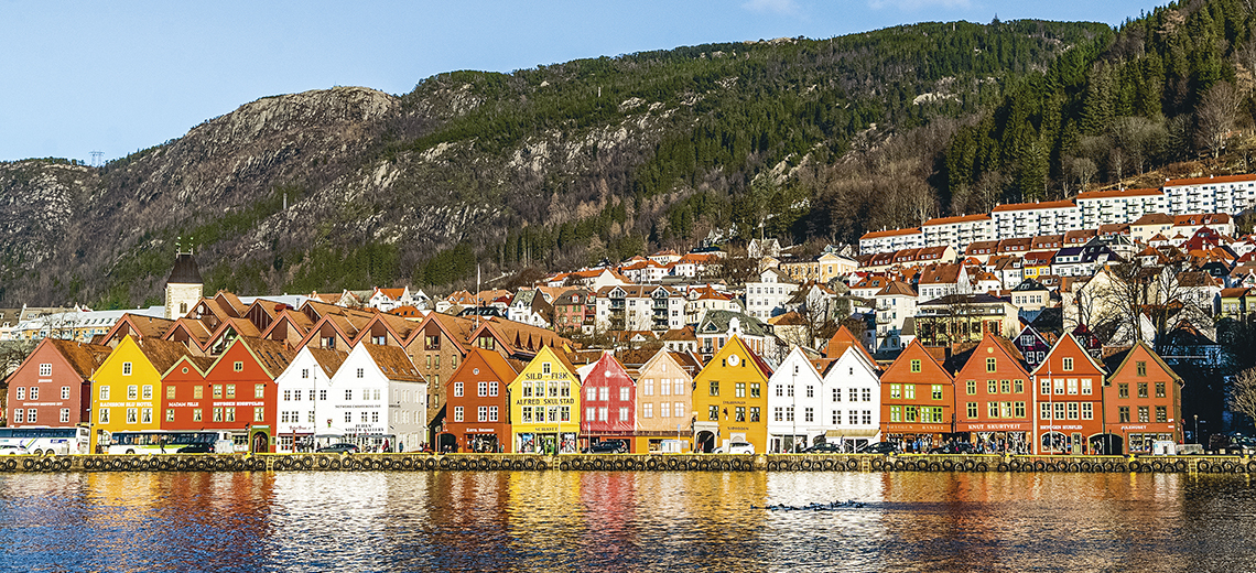 Large bergen