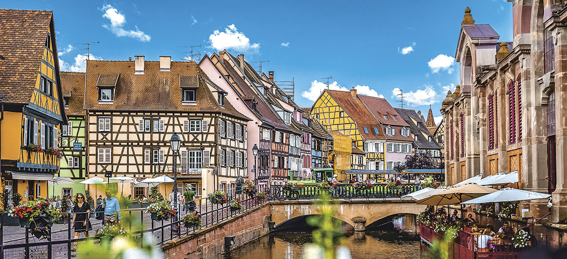 Large colmar