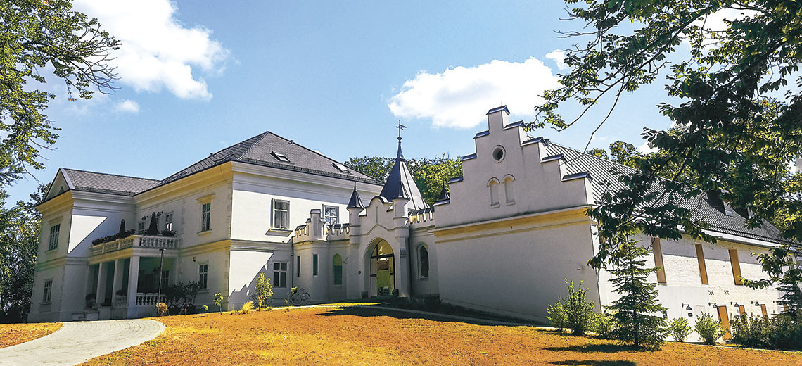 Large dvorac jankovic