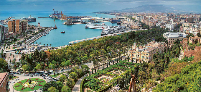 Medium large malaga