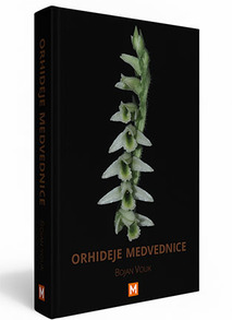 Cover orhideje medvednice