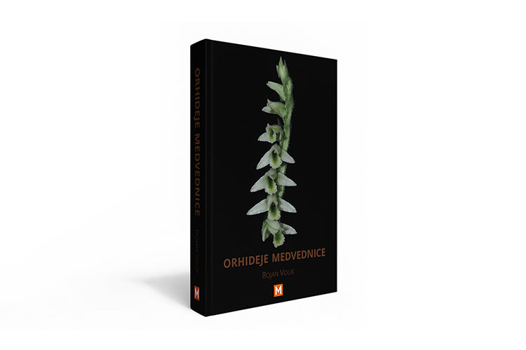 News orhideje medvednice