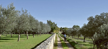 Medium small vodnjan