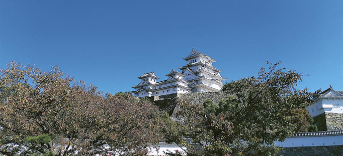 Medium large japan dvorac