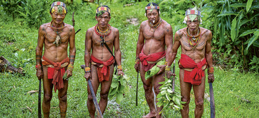 Medium small narod mentawai