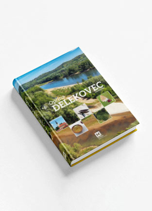 Opc ina  elekovec