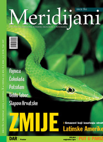 Cover 1