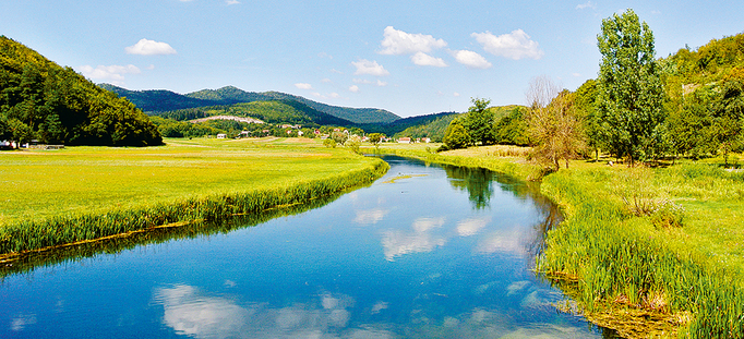 Medium large gacko polje