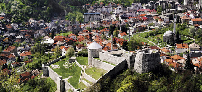 Medium large travnik