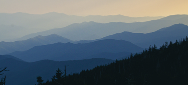 Medium small great smoky mountains