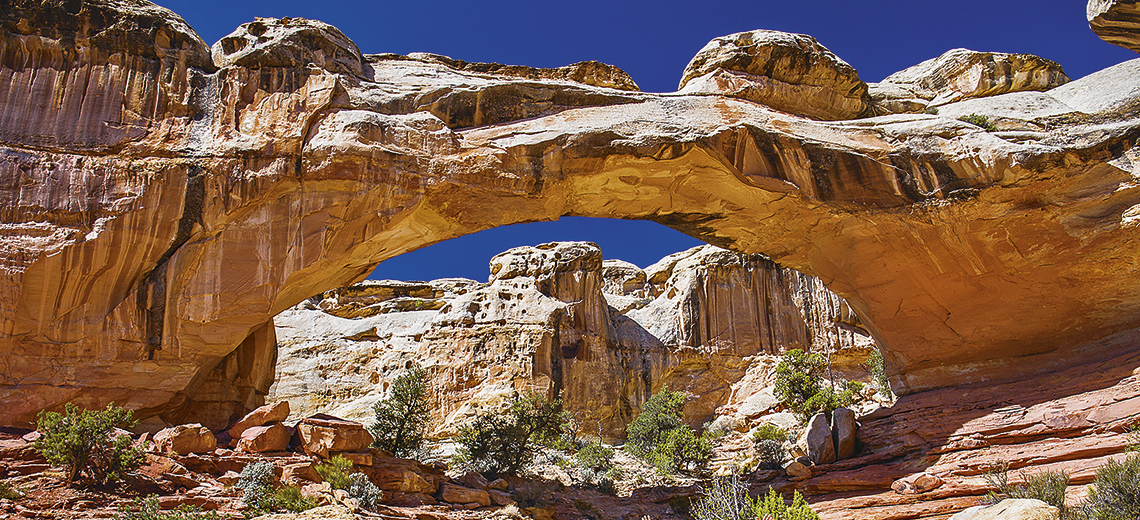 Large capitol reef