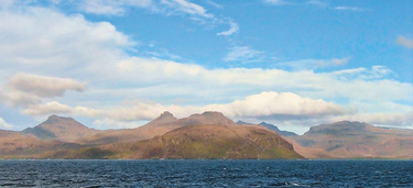 Medium small kerguelen