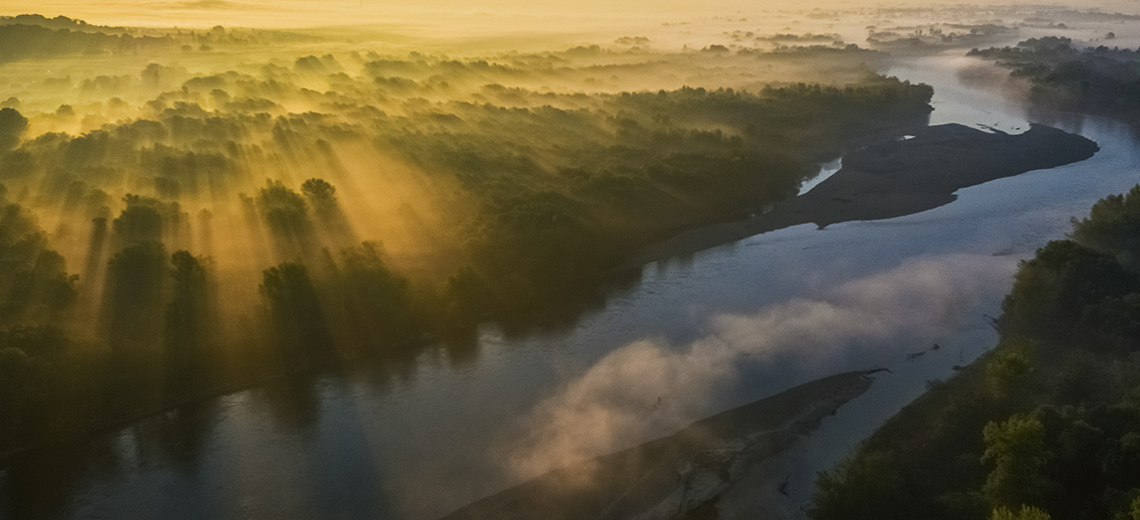 Large drava